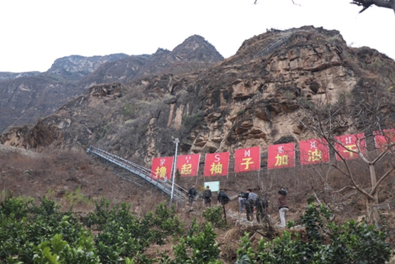 图片默认标题_fororder_未标题-1
